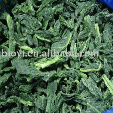 New crop frozen spinach