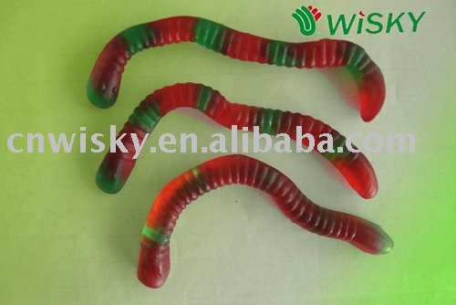 Worm Shape Gummy Candy