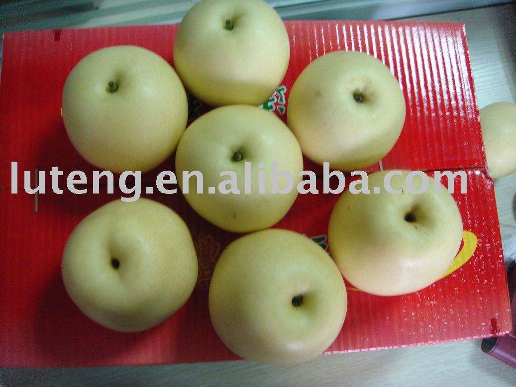  New   Crop  of  Fresh  Crown  Pear 