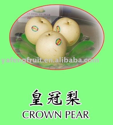  nashi   pear 