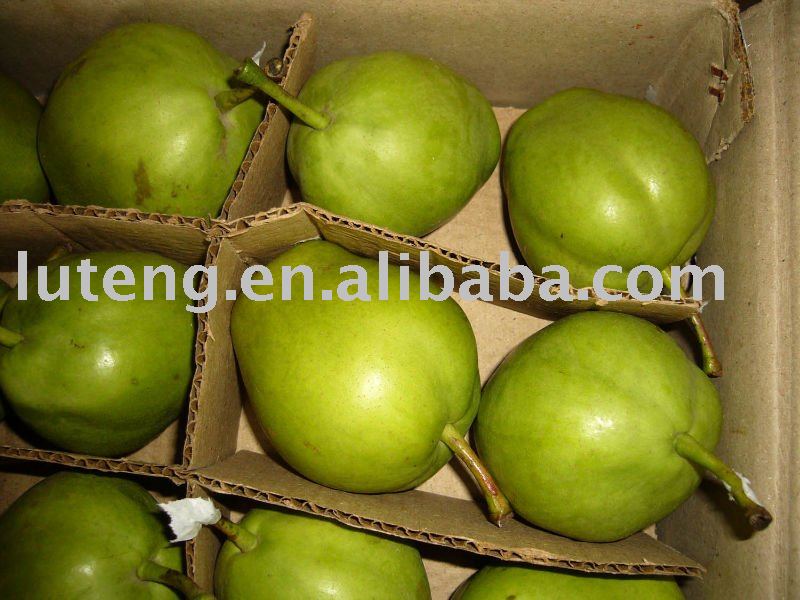  Su  pear 2010 new  crop 