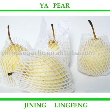 2010 New Fresh Ya pear