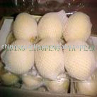New Fresh Ya pear(80,96,112#)
