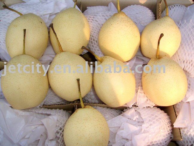 China fresh ya pear