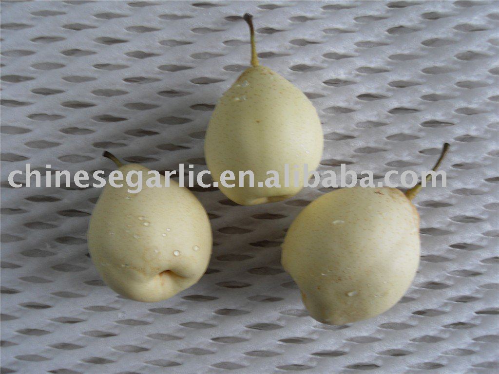 New Ya pear