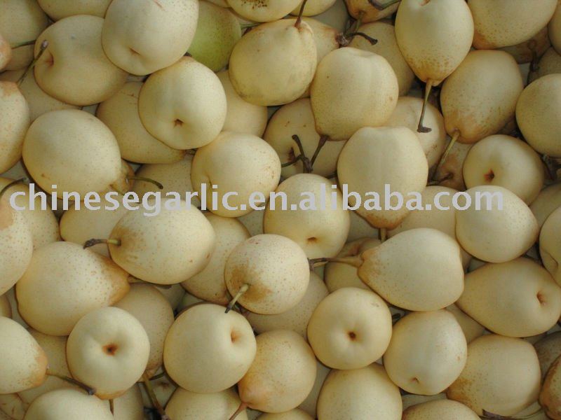 New Ya pear(80#,96#)