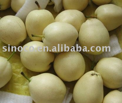 new crop su pear