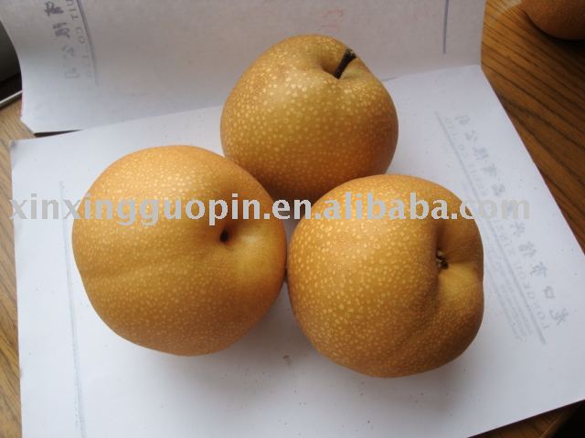  Nashi   Pear 