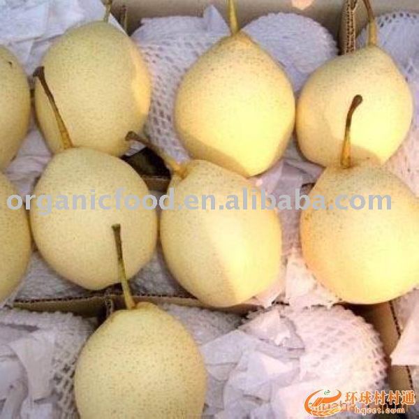 Chinese Fresh Ya Pear