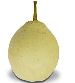 2010 Chinese fresh yantai delicious  ya pear