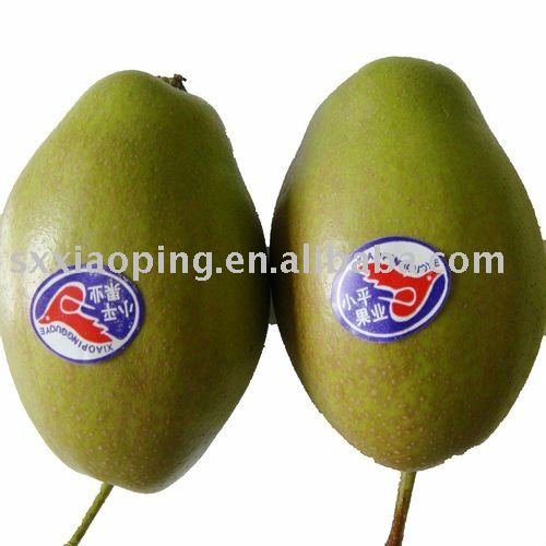 fresh hong xiang su pear