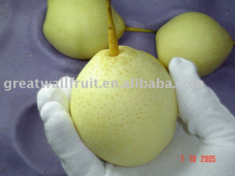 chinese pears