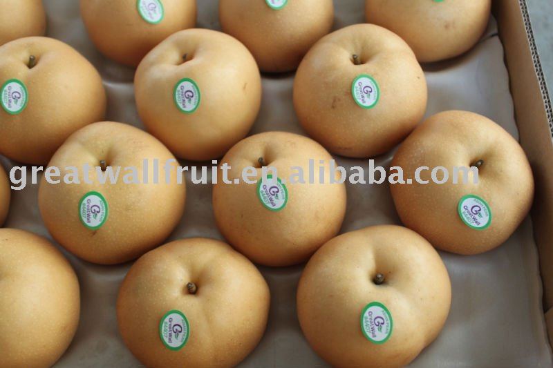 fresh asian pear