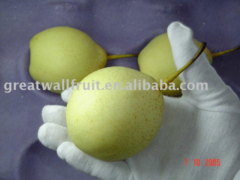  hebei   pear 