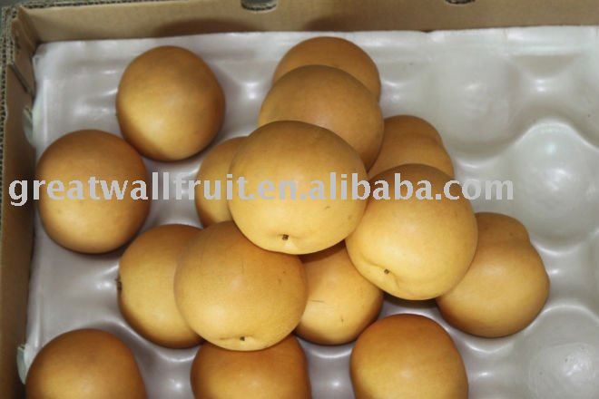 Fresh  Yuanhuang   Pear 