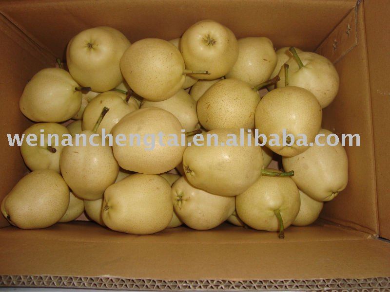 earlier su pear