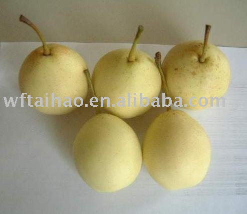 Ya Pears