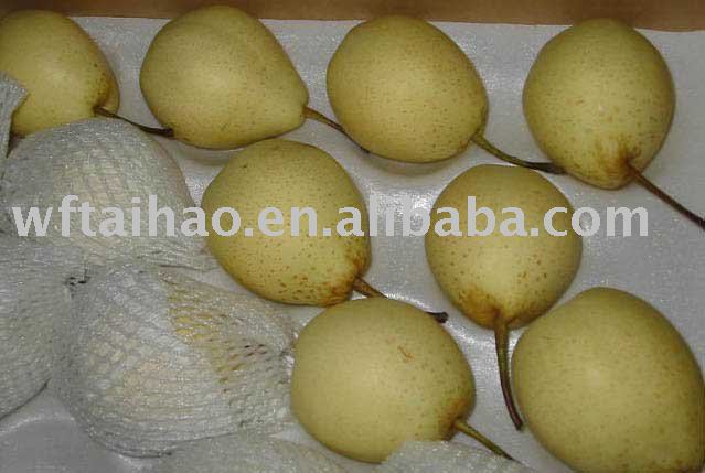  Shandong   Ya   Pear 