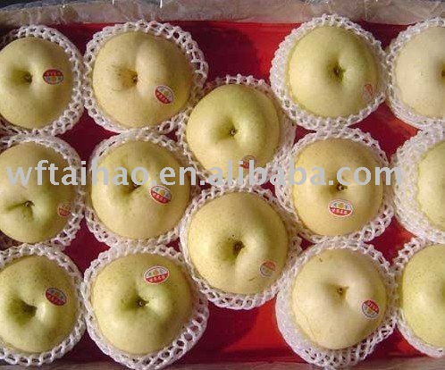  Fresh   Golden  Pear