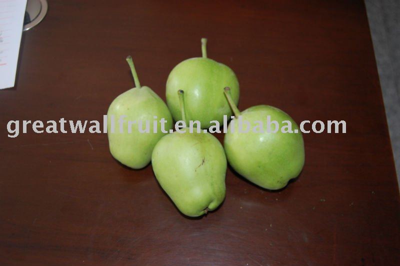 chinese su pear