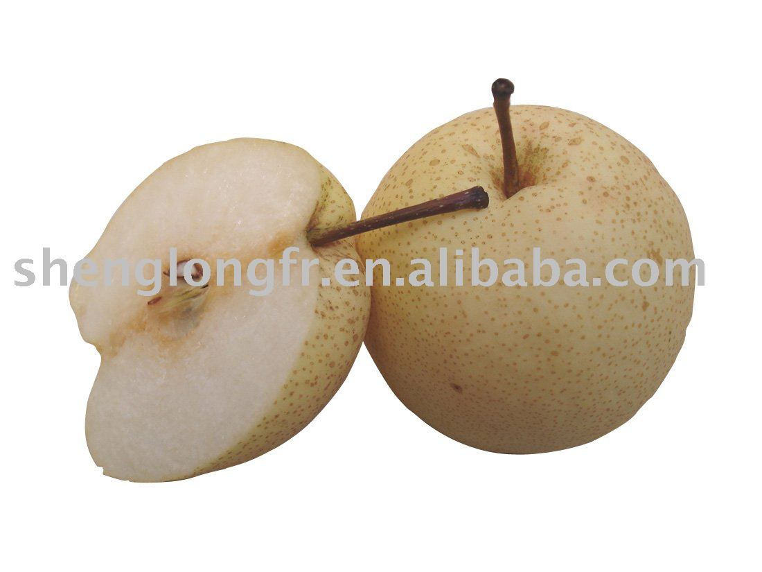 Shaanxi Su Pear