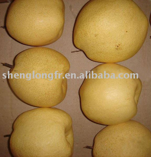 Su Pear from Shaanxi