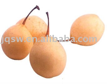 best quality fresh ya pear
