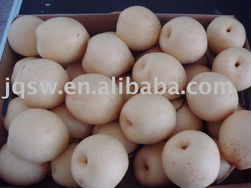 Top Quality Fresh Ya Pear Of 2011 New Crop