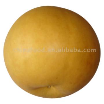  Yuanhuang   Pear 