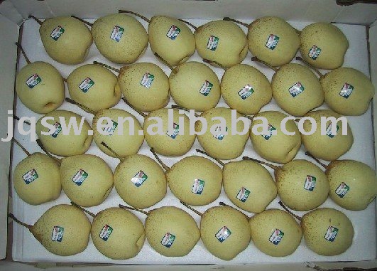  fresh   CRISP   pear 