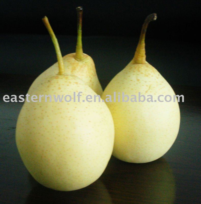 Fresh Ya Pear!New Crop.MOQ:1*40`FCL!