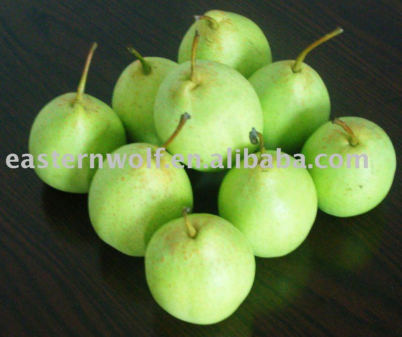 Fresh Ya Pear!New Crop,Light green.MOQ:1*40`FCL!