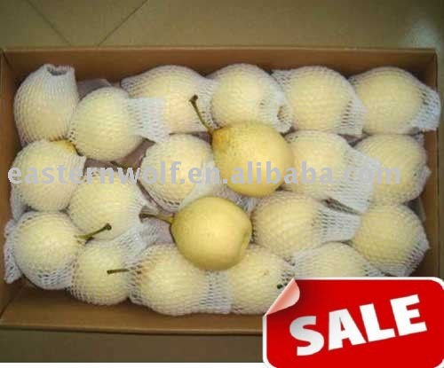 Chinese Fresh Ya Pear, New Crop