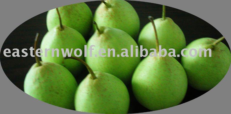 Hebei ya pear in carton package