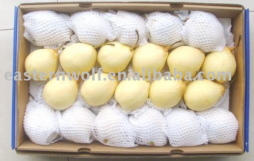 Chinese Ya  Pear  in 20KG/CTN of  New   Crop 