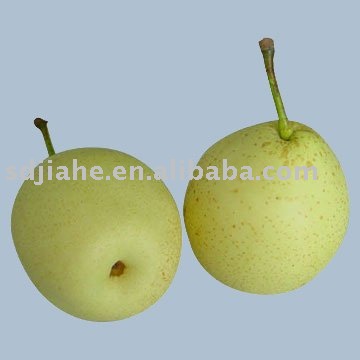 Shandong pear