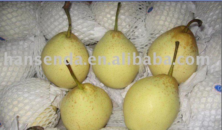 Fresh Ya Pear