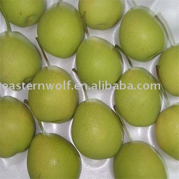 Fresh Shandong Pear in Carton(NEW CROP)