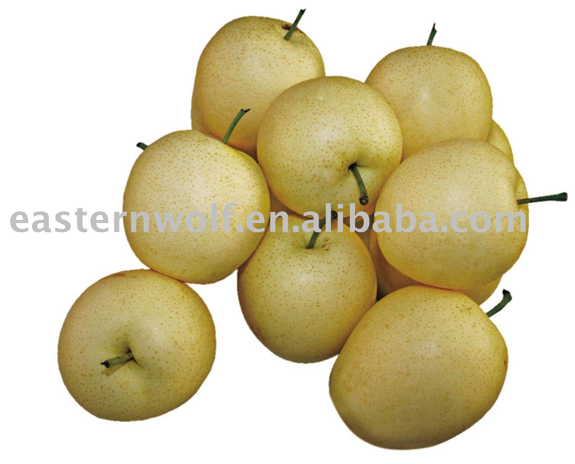 Fresh Golden Pear of 2010 New Crop in Carton Packing