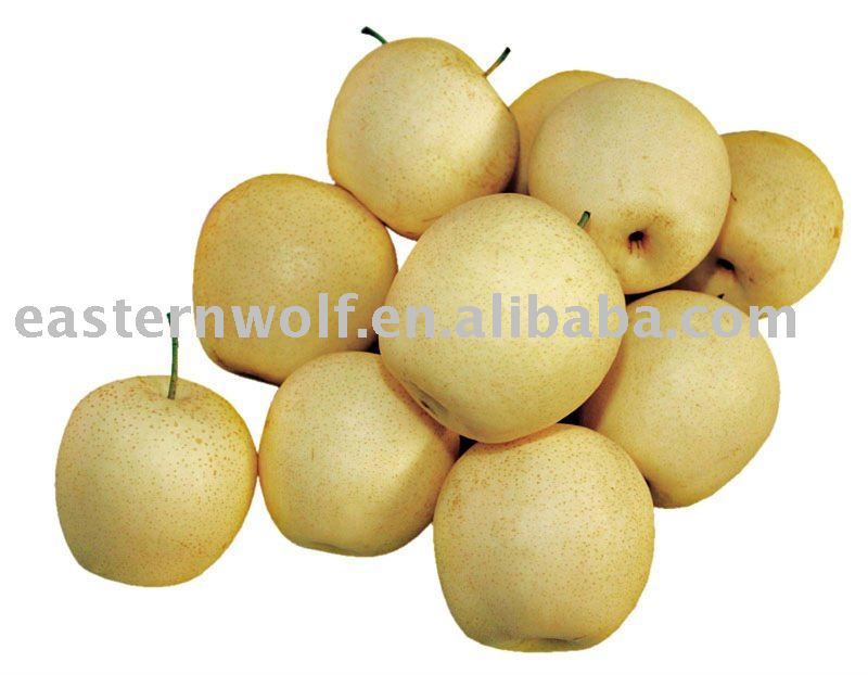 Fresh Golden Pear of 2010 New Crop