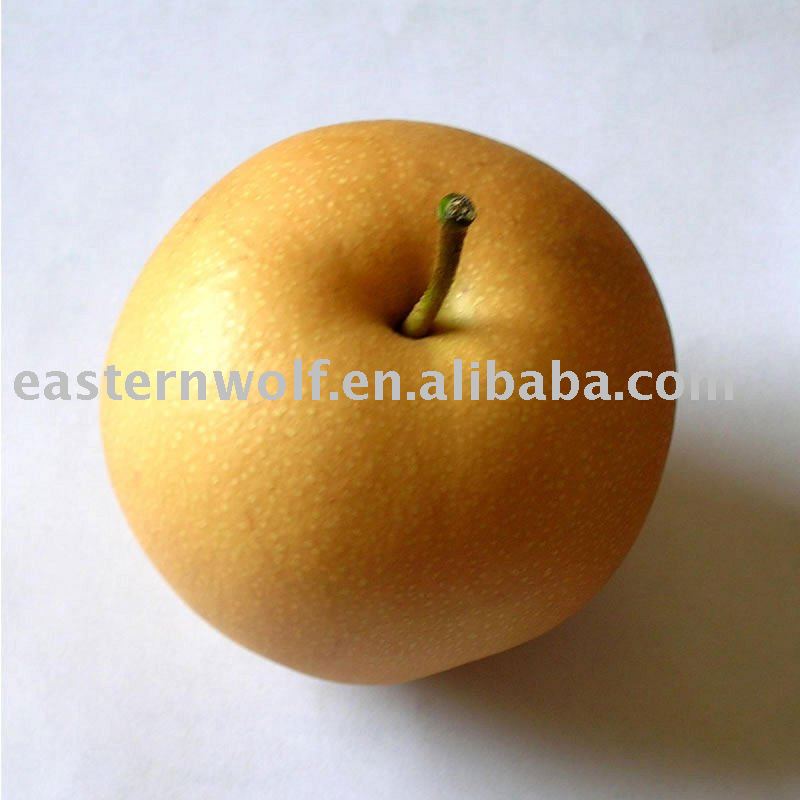 Fresh Chinese Fengshui Pear in 20KG/Carton