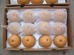  pear (su  pear  , ya   pear  , golden   pear  ,and so on)