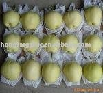  Dangshan  Su  Pear 