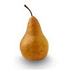 Beuurre Bosc Pear