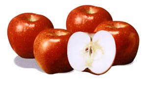 Fresh Fruits(apples,persimmons,pears)