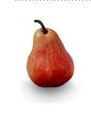 Reed Bartlett Pear