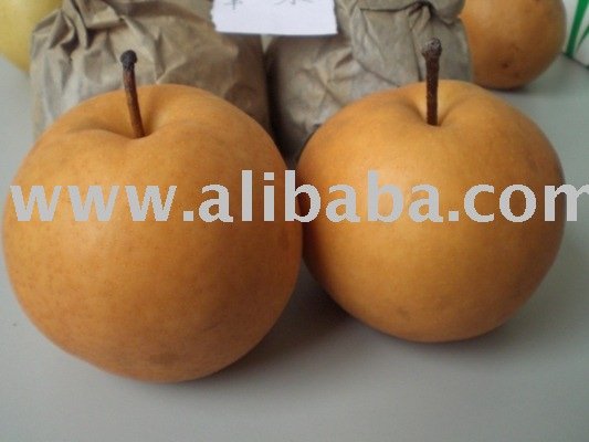 fengshui pear