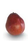 Red D'Anjou Pear