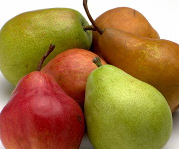 Fresh Pears for sale