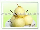 YA PEAR